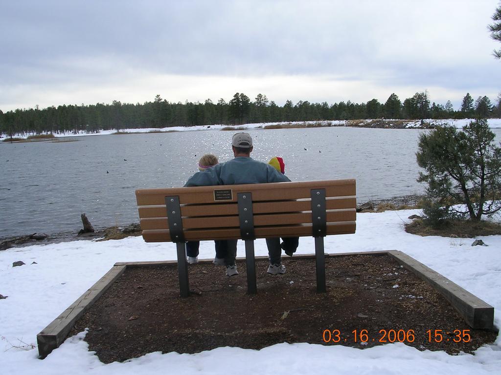 Adair Springs Cabin Pinetop-Lakeside Exterior foto