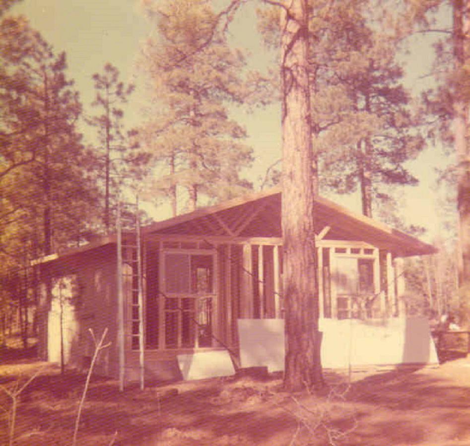 Adair Springs Cabin Pinetop-Lakeside Exterior foto